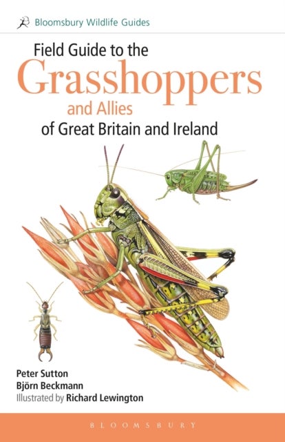 Field Guide to the Grasshoppers and Allies of Great Britain and Ireland - Grasshoppers, Crickets, Earwigs, Cockroaches, Mantids and Stick-insects