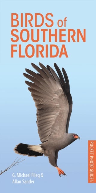 Birds of Southern Florida