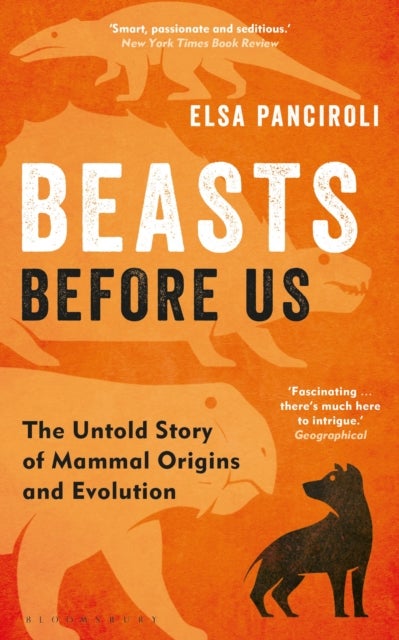 Beasts Before Us - The Untold Story of Mammal Origins and Evolution