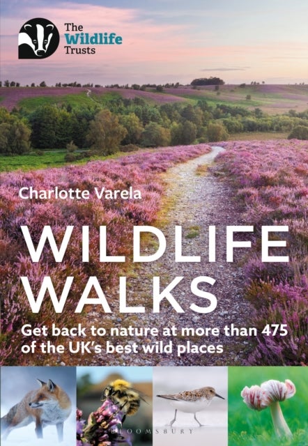 Wildlife Walks - Get back to nature at more than 475 of the UK's best wild places