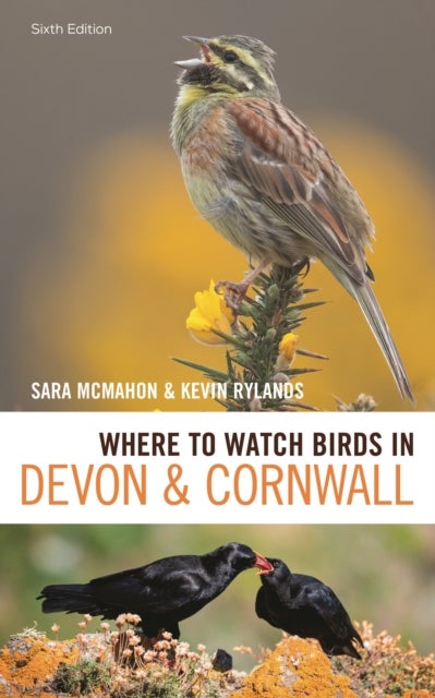 Where to Watch Birds in Devon and Cornwall - 6th edition