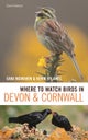 Where to Watch Birds in Devon and Cornwall