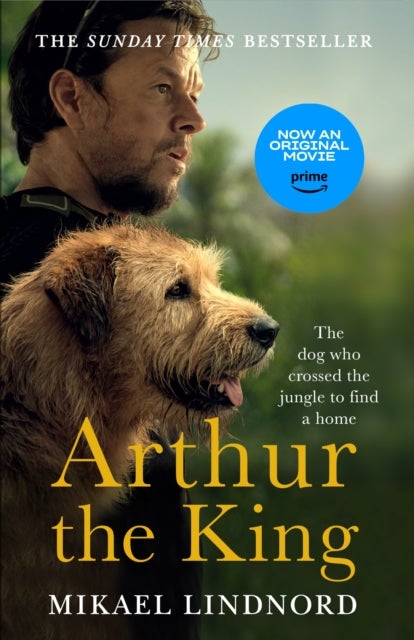 Arthur the King - The dog who crossed the jungle to find a home *WATCH NOW ON AMAZON PRIME*