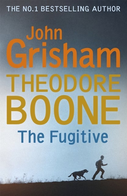 Theodore Boone: The Fugitive - Theodore Boone 5