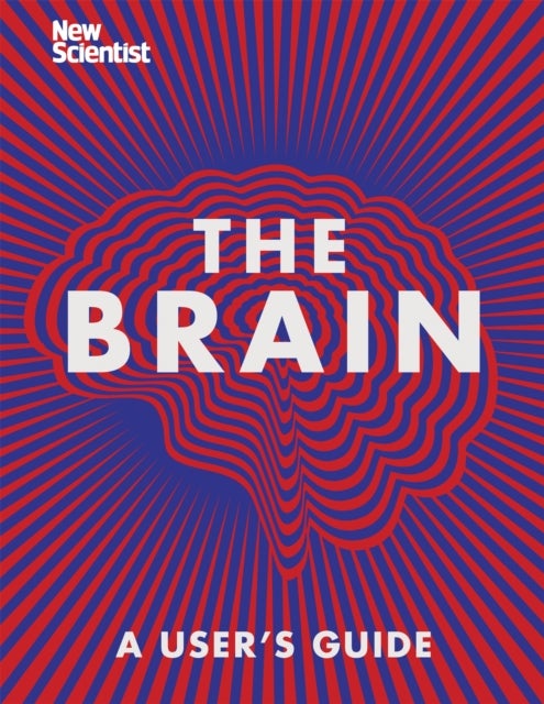 The Brain - Everything You Need to Know