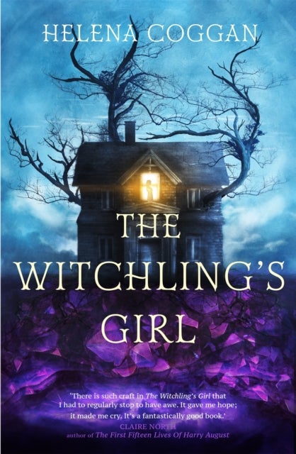 The Witchling's Girl - An atmospheric, beautifully written YA novel about magic, self-sacrifice and one girl's search for who she really is
