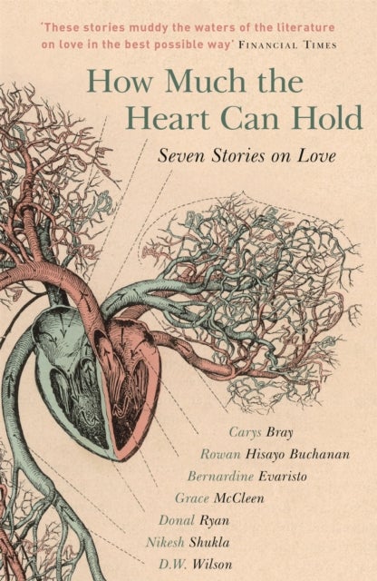 How Much the Heart Can Hold - Seven Stories on Love