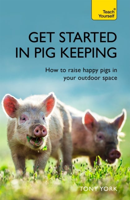 Get Started In Pig Keeping - How to raise happy pigs in your outdoor space