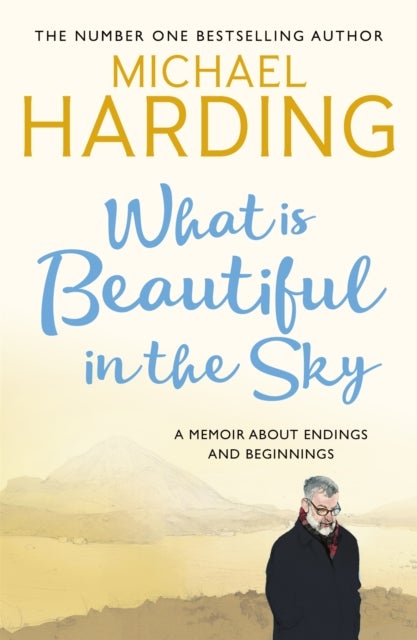 What is Beautiful in the Sky - A book about endings and beginnings