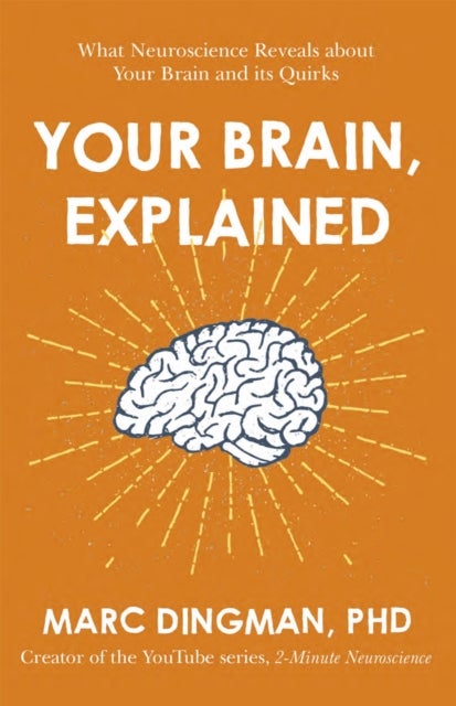 Your Brain, Explained - What Neuroscience Reveals about Your Brain and its Quirks