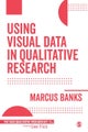 Using Visual Data in Qualitative Research