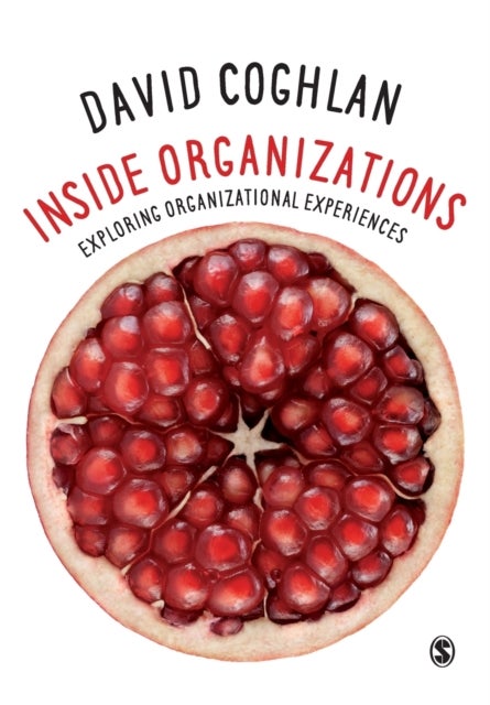 Inside Organizations - Exploring Organizational Experiences