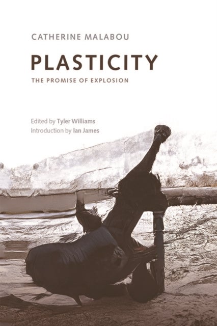 Plasticity - The Promise of Explosion