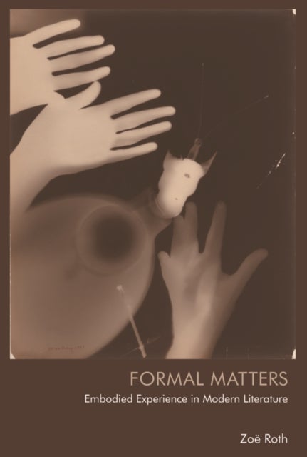 Formal Matters - Embodied Experience in Modern Literature