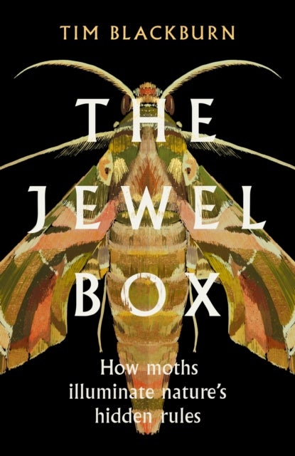 The Jewel Box - How Moths Illuminate Nature's Hidden Rules