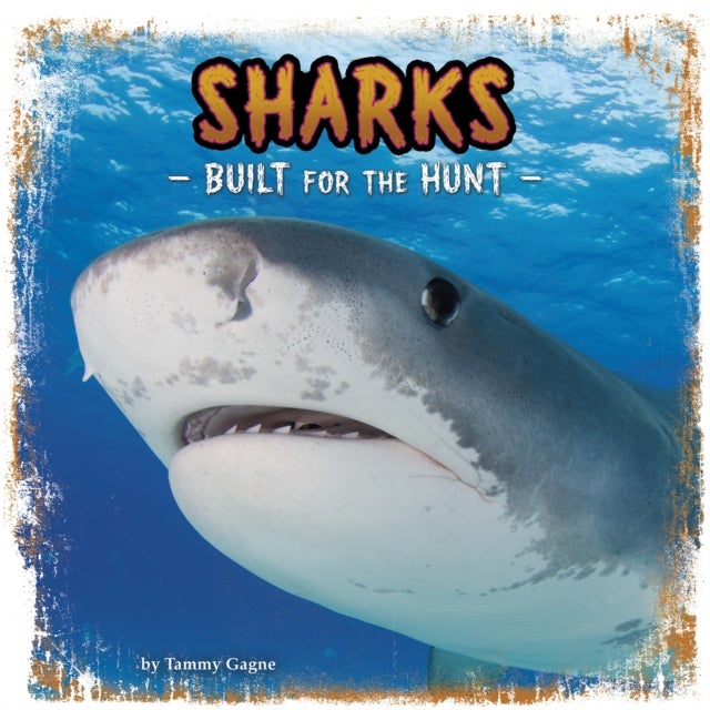 Sharks - Built for the Hunt