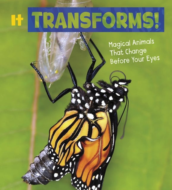 It Transforms! - Magical Animals That Change Before Your Eyes