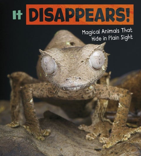 It Disappears! - Magical Animals That Hide in Plain Sight