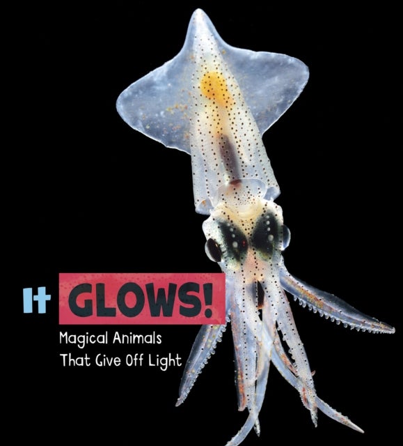 It Glows! - Magical Animals That Give Off Light