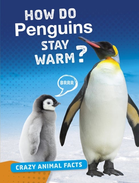 How Do Penguins Stay Warm?