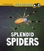 Splendid Spiders