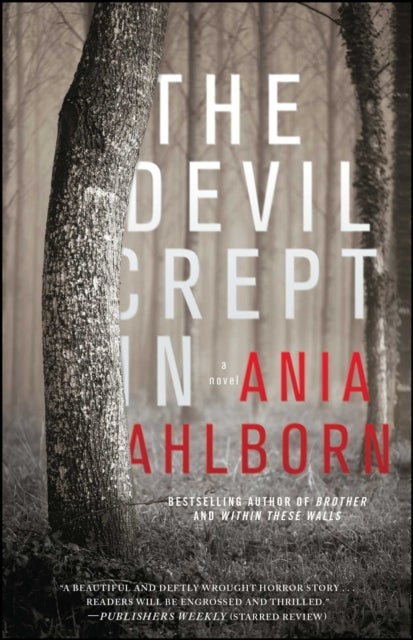 Devil Crept In - A Novel
