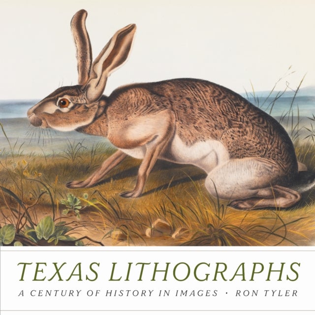 Texas Lithographs - A Century of History in Images