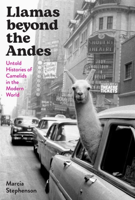 Llamas Beyond the Andes - Untold Histories of Camelids in the Modern World