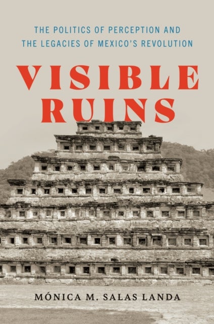 Visible Ruins - The Politics of Perception and the Legacies of Mexico's Revolution