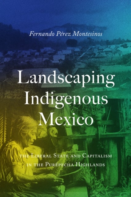 Landscaping Indigenous Mexico - The Liberal State and Capitalism in the Purepecha Highlands