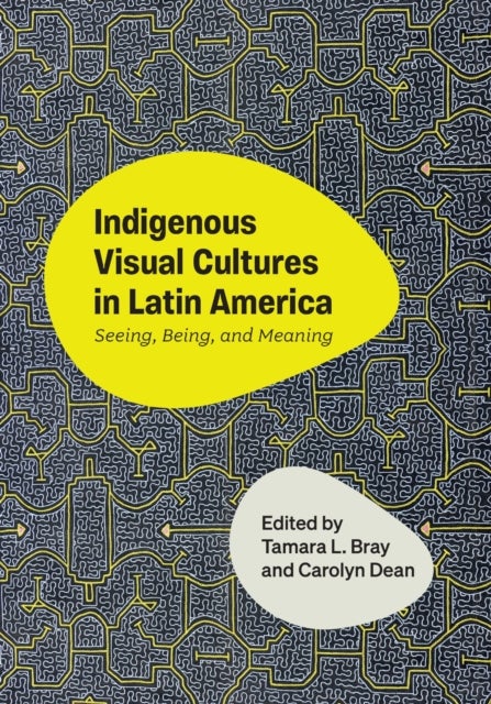 Indigenous Visual Cultures in Latin America - Seeing, Being, and Meaning