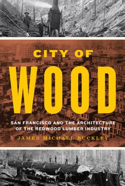 City of Wood - San Francisco and the Architecture of the Redwood Lumber Industry