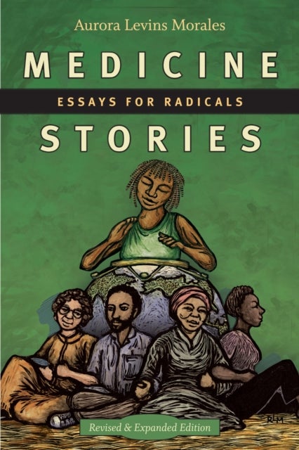 Medicine Stories - Essays for Radicals