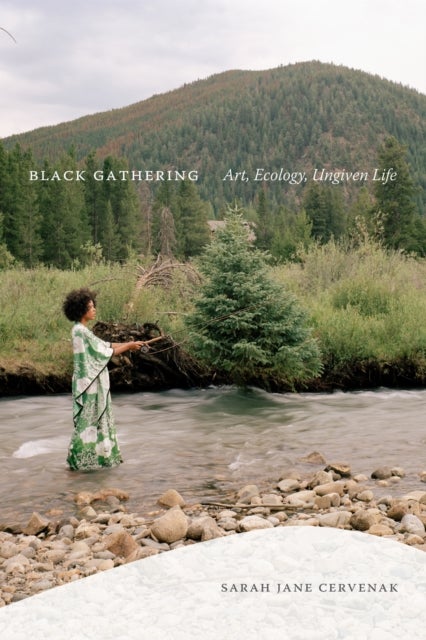 Black Gathering - Art, Ecology, Ungiven Life