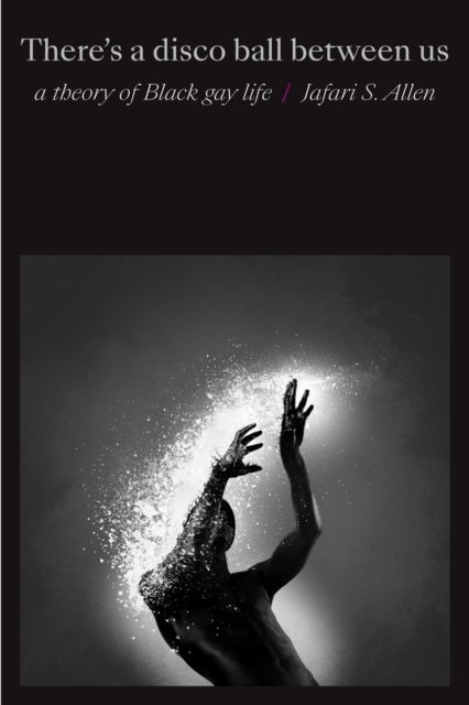 There's a Disco Ball Between Us - A Theory of Black Gay Life