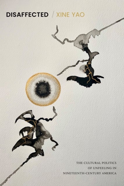 Disaffected - The Cultural Politics of Unfeeling in Nineteenth-Century America