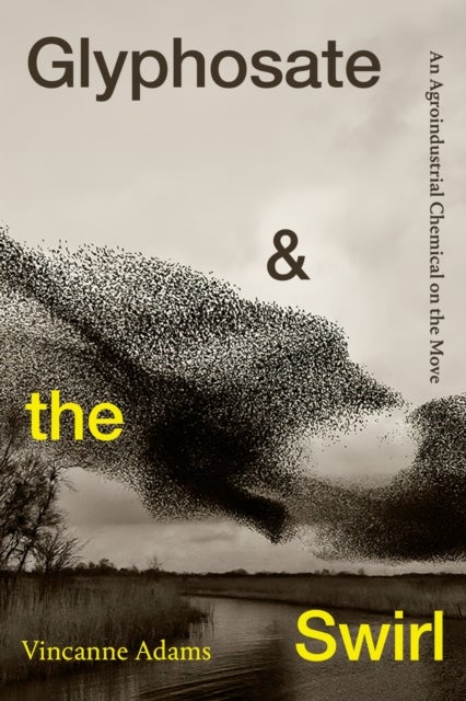 Glyphosate and the Swirl - An Agroindustrial Chemical on the Move