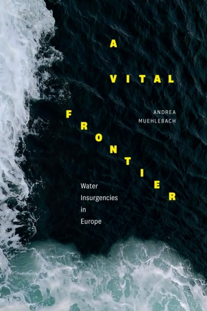 A Vital Frontier - Water Insurgencies in Europe