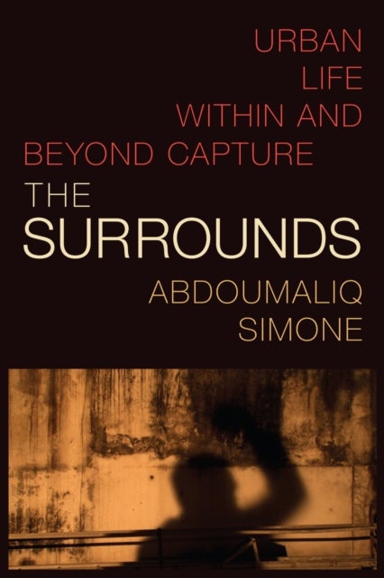 The Surrounds - Urban Life Within and Beyond Capture
