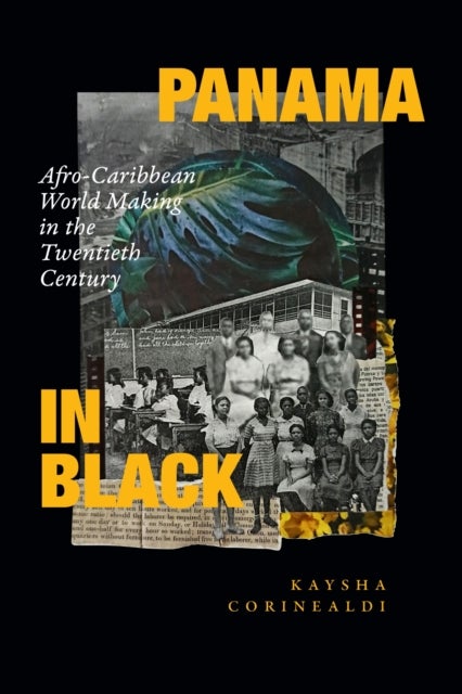 Panama in Black - Afro-Caribbean World Making in the Twentieth Century