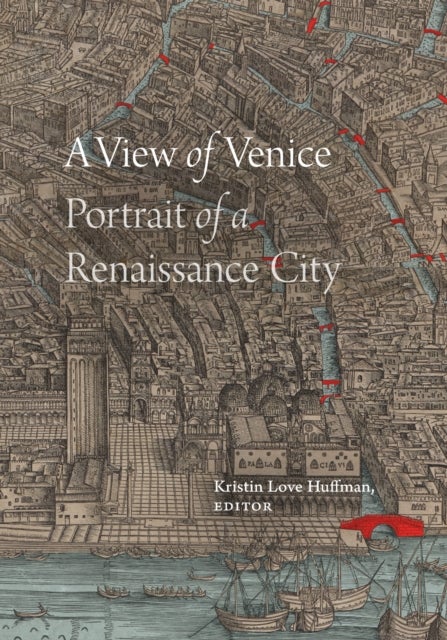 A View of Venice - Portrait of a Renaissance City