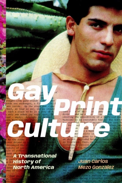 Gay Print Culture - A Transnational History of North America