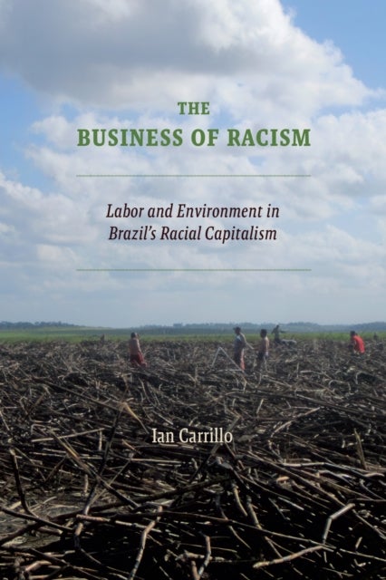 The Business of Racism - Labor and Environment in Brazil's Racial Capitalism