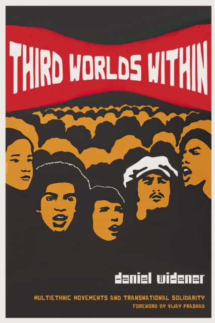 Third Worlds Within - Multiethnic Movements and Transnational Solidarity