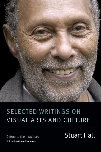 Selected Writings on Visual Arts and Culture - Detour to the Imaginary