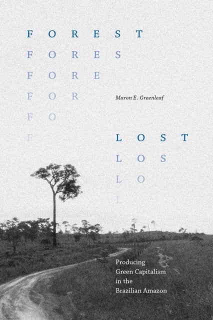 Forest Lost - Producing Green Capitalism in the Brazilian Amazon