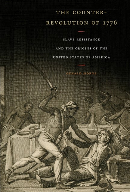 The Counter-Revolution of 1776 - Slave Resistance and the Origins of the United States of America