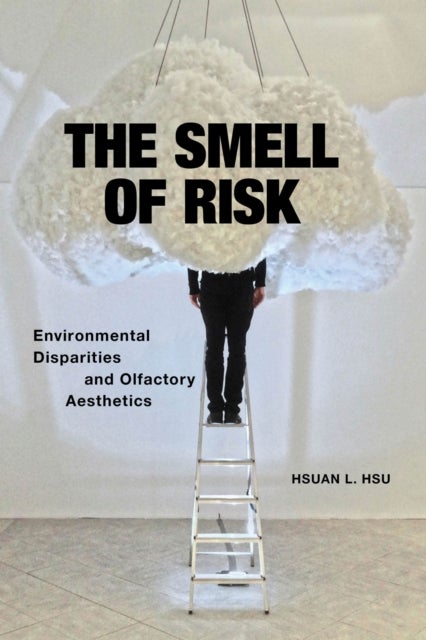 The Smell of Risk - Environmental Disparities and Olfactory Aesthetics