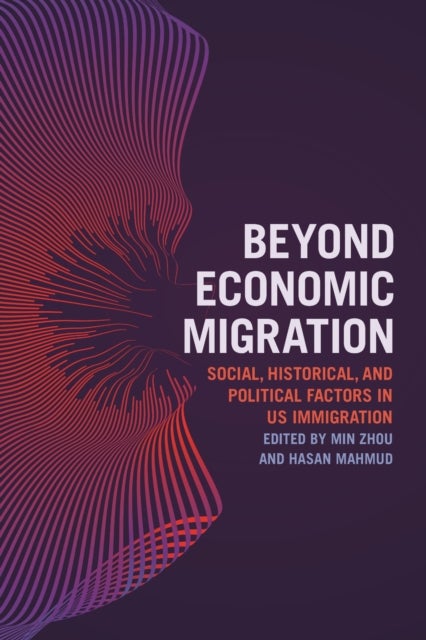 Beyond Economic Migration - Social, Historical, and Political Factors in US Immigration