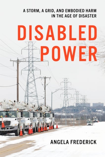 Disabled Power - A Storm, a Grid, and Embodied Harm in the Age of Disaster